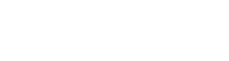 Stead Squad